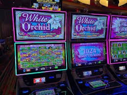svip slots Terms That Shape Your Account